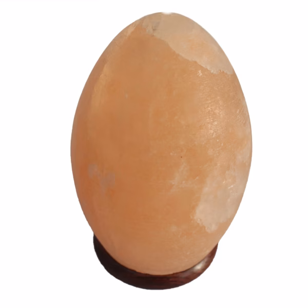 Lampe de Sel de l'Himalaya - Oeuf Base en Bois