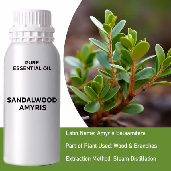 Santal Amayris Huile Essentielle Pure 500ml
