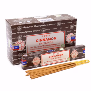 Varillas de Incienso Satya Sticks 15g - Canela