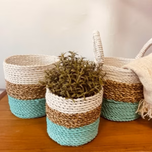Ensemble de Paniers en Jonc de Mer - Vert / Naturel / Blanc