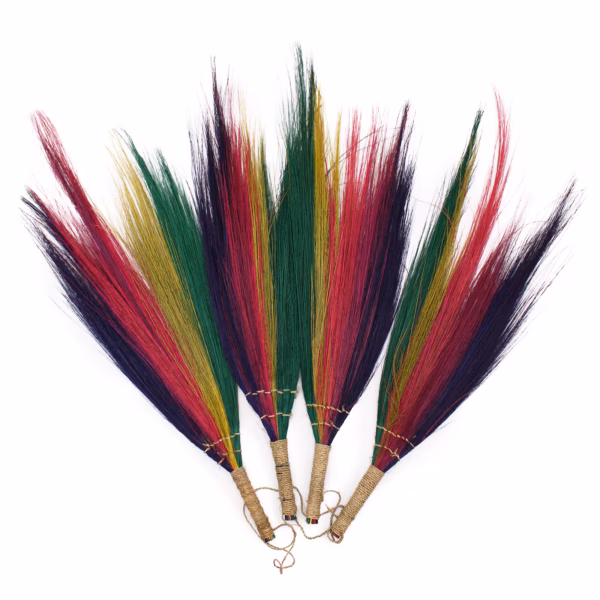 Set van 4 - Pampas Lange Bezem - Regenboogkleuren