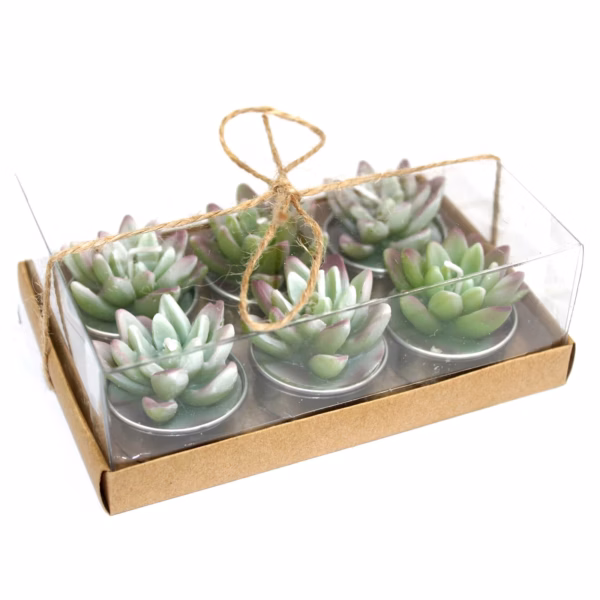 Set van 6 Theelichtjes - Agave Cactus - In Geschenkverpakking