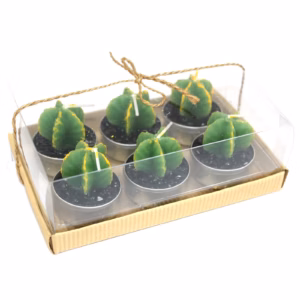 Lot de 6 Bougies Cactus sans Épines