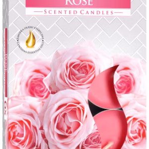 Set of 6 Scented Tealights - Rose
