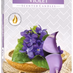 Set of 6 Scented Tealights - Violet