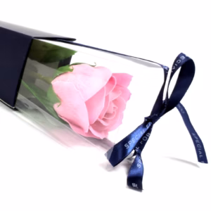 Rosa Simple - Rosa Rosa