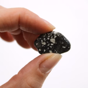 Pequeñas Piedras Africanas - Gallina de Guinea
