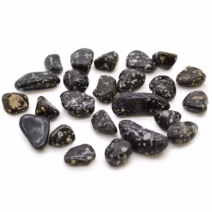 Pequeñas Piedras Africanas - Gallina de Guinea