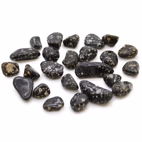 Pequeñas Piedras Africanas - Gallina de Guinea