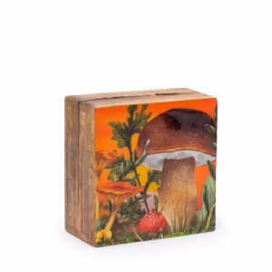 Caja Cuadrada Pequeña - Hongo Granate