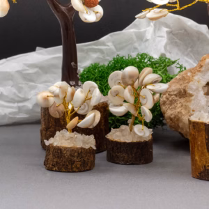Gomati Chakra Circle Stone Trees - Small - 15 Stones