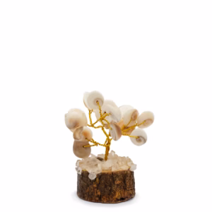 Gomati Chakra Circle Stone Trees - Small - 15 Stones