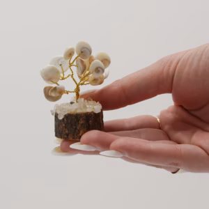 Gomati Chakra Circle Stone Trees - Small - 15 Stones