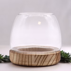Lite Terarium på Naturlig Tungtre - 13x13cm