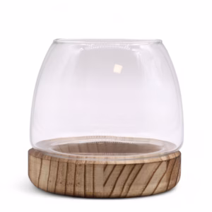 Lite Terarium på Naturlig Tungtre - 13x13cm