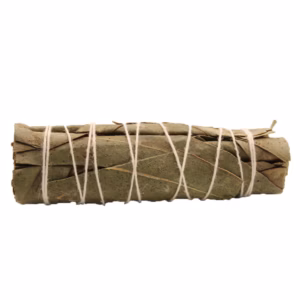 Smudge Stick - Eukalyptus Salvia 10cm