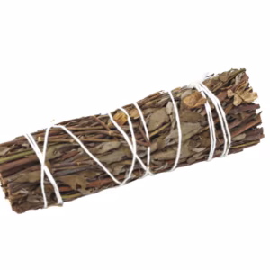Bâton Smudge - Mountain Sage 10cm
