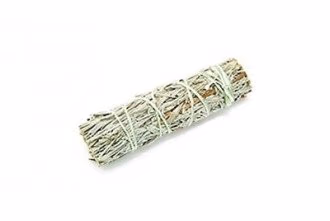 Fagot Sauge Bâton - Sauge Shasta 10cm