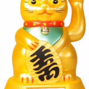 Geld op Zonne - Energie Kat
