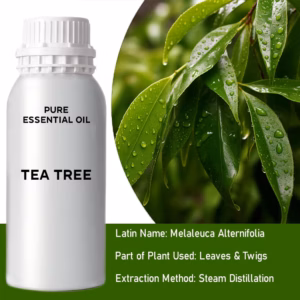 Tea Tree Huile Essentielle Pure 500ml