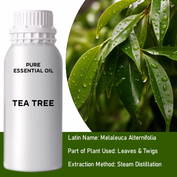 Tea Tree Huile Essentielle Pure 500ml