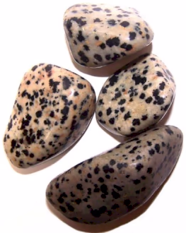 Gepolijste Tuimel Stenen - Dalmatische Jaspis - Medium 1 Gepolijste Tuimel Stenen - Dalmatische Jaspis - Medium