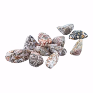 Trommelsteine - Leoparden - Jaspis - Mittel - 24 Stk.