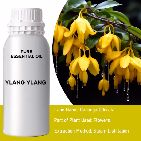 Ylang Ylang I Pure Essential Oil 500ml