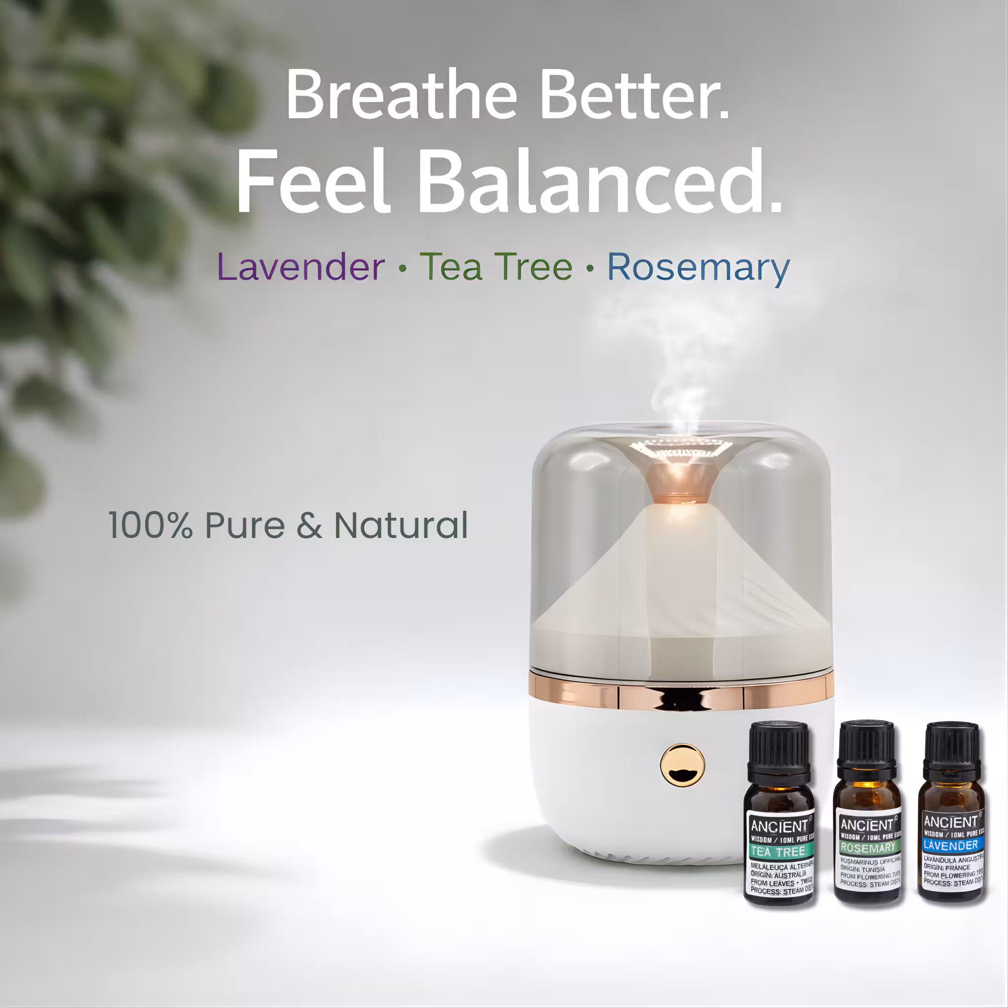 How to Use Essential Oils Safely: A Beginner’s Guide 2 Essential Oil Diffuser Set For Safe Room Scenting